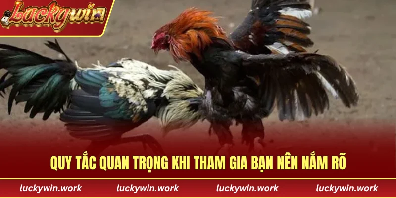 Quy tắc quan trọng khi tham gia bạn nên nắm rõ