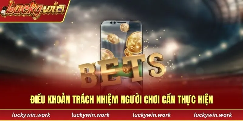 Điều khoản trách nhiệm người chơi cần thực hiện